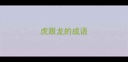 虎跟龙的成语
