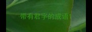 带有君字的成语