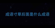 成语寸草后面是什么成语