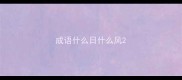 成语什么日什么风