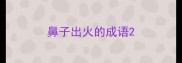 鼻子出火的成语