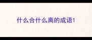 什么合什么离的成语