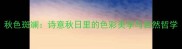 秋色斑斓诗意秋日里的色彩美学与自然哲学