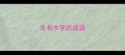 含有木字的成语