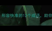 职场效率必备形容快准的12个成语助你提升工作效能