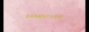 成语神藏鬼什么成语