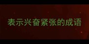 表示兴奋紧张的成语