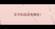 言字的成语有哪些
