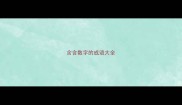 含含数字的成语大全