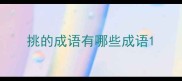 挑的成语有哪些成语