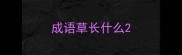 成语草长什么