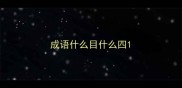 成语什么目什么四