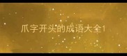 爪字开头的成语大全