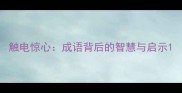 触电惊心成语背后的智慧与启示