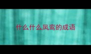 什么什么凤鸾的成语
