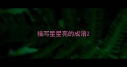 描写星星亮的成语