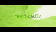 惊奇什么成语