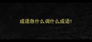 成语急什么调什么成语