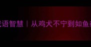 婆婆相敬如宾的5个成语智慧从鸡犬不宁到如鱼得水的婆媳相处法则