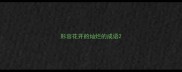 形容花开的灿烂的成语