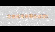 含皇成语有哪些成语