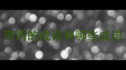 带雨的成语有哪些成语