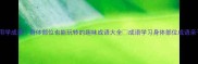 手脚并用学成语身体部位也能玩转的趣味成语大全成语学习身体部位成语亲子教育