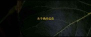 关于嫣的成语