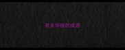 有关华丽的成语