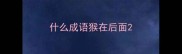 什么成语猴在后面