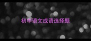 初中语文成语选择题