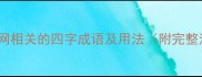 30个与网相关的四字成语及用法附完整清单