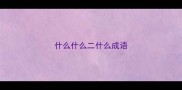 什么什么二什么成语