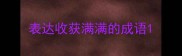 表达收获满满的成语