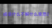 成语什么不解什么意思