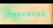 中字在后面的成语