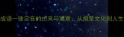 三字成语一锤定音的由来与寓意从烟草文化到人生智慧