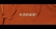 水洗的成语