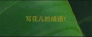 写花儿的成语