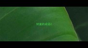 财富的成语