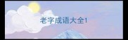 老字成语大全