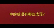 中的成语有哪些成语