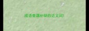 成语查漏补缺的近义词