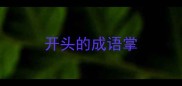 开头的成语掌