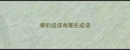硬的成语有哪些成语