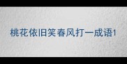 桃花依旧笑春风打一成语