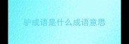 驴成语是什么成语意思