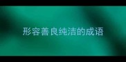 形容善良纯洁的成语