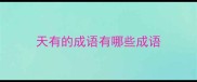 天有的成语有哪些成语