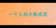 一个人和大象成语